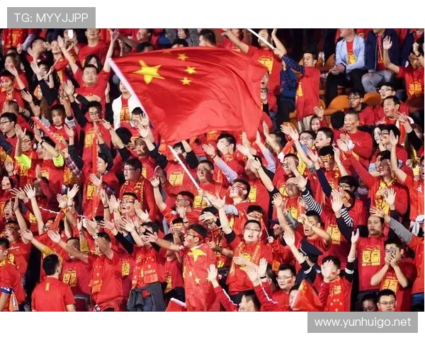 奥地利球迷热情高涨，期待国家队在新赛季创造辉煌表现