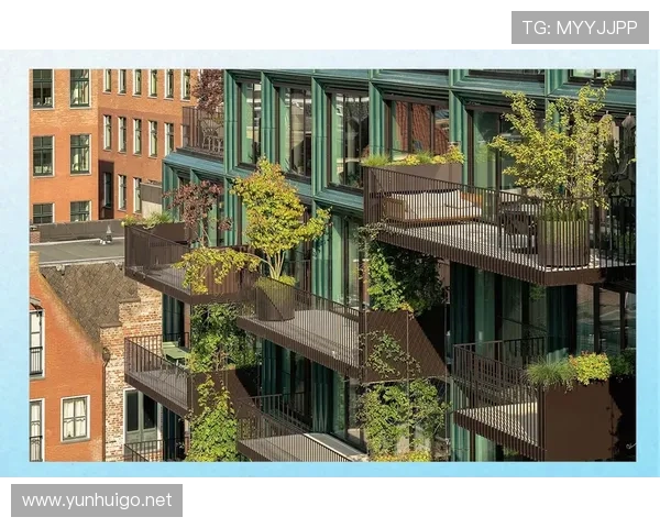 格罗宁根未来规划