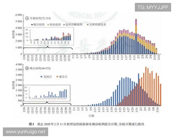 B费能否带队争冠：核心作用与争冠竞争力分析