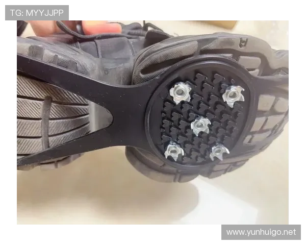 托尼娅·哈丁当年那双冰鞋，现在挂eBay能卖套房？